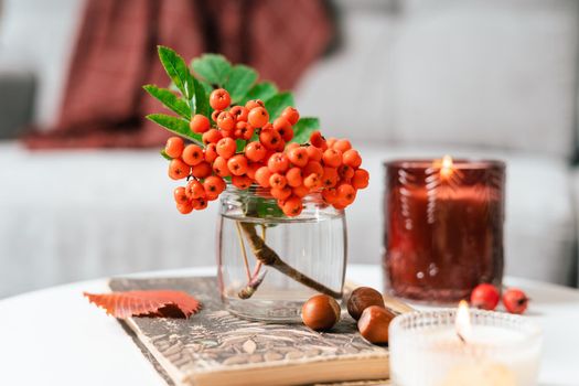 Still life book, candle, rowan berry and a cup of tea or coffee in the living room on a table, home decor in a cozy house. Autumn weekend concept, blanket and plaid. Fallen leaves and home decoration