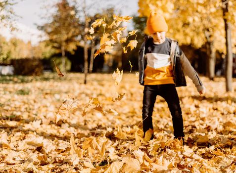 Kid having fun in autumn park with fallen leaves, throwing up leaf. Child boy outdoors playing with maple leaves