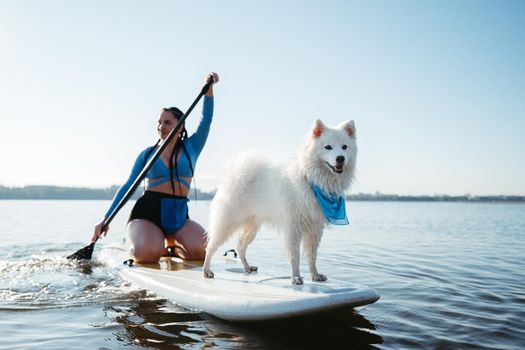 Snow-White Japanese Spitz Dog Standing on Sup Board, Woman Paddleboarding with Her Pet on City Lake