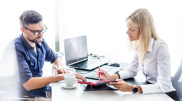 Business meeting. Client consulting. Confident business woman, real estate agent, financial advisor explaining details of project or financial product to client in office