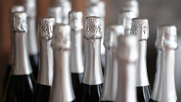 Bottles of champagne are on display in restaurant. Selection of high-quality elite champagne concept