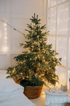 Decorated mirror and live Christmas tree with lights. New year's interior, festive atmosphere, decor, garlands, gifts.