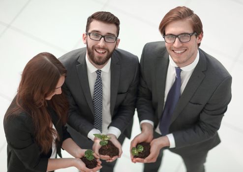 group of business environmentalists keeps green sprouts.eco-business concept