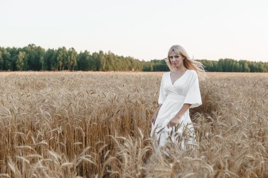 A blonde woman in a long white dress walks in a wheat field. The concept of a wedding and walking in nature.