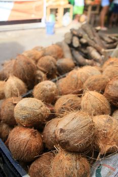 salvador, bahia, brazil - april 30, 2022: dry coconut for sale at the Sao Joaquim fair in the city of Salvador.