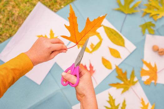 Kids workshop children scissors cutting leaves art craft kids handmade autumn child art education nature creative autumn leaves. Diy art kid creative play learning outside school outdoor learning park