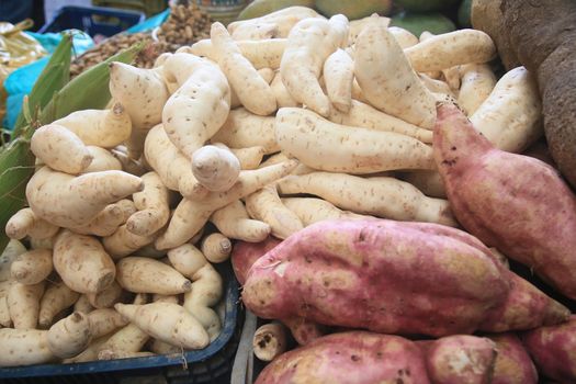 salvador, bahia, brazil - april 30, 2022: sweet potato for sale on display at a stall at the Sao Joaquim fair in the city of Salvador.
