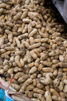 salvador, bahia, brazil - april 30, 2022: peanuts in shell for sale at the São Joaquim fair in the city of Salvador.