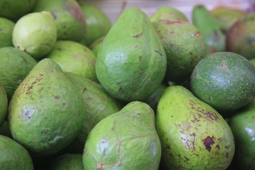 salvador, bahia, brazil - april 30, 2022: avocado fruit for sale on display at a stall at the Sao Joaquim fair in the city of Salvador.