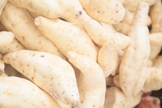 salvador, bahia, brazil - april 30, 2022: sweet potato for sale on display at a stall at the Sao Joaquim fair in the city of Salvador.
