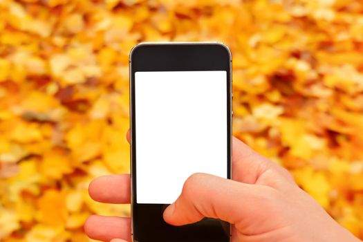 Fallen leaves autumn mobile phone mockup hand holding smartphone nature fall background leaves falling sale mobile mockup smartphone blank screen hand phone nature autumn background mobile hand. Blank