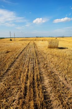 The road after the harvester near straw bales on farmland with blue beautiful sky with clouds