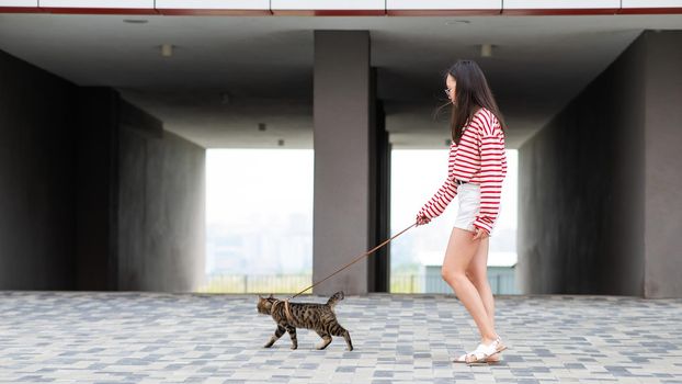 A gray striped cat pulls its owner by the leash while walking outdoors