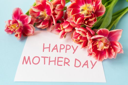 Very beautiful spring tulips on a blue paper background. Happy mother day lettering