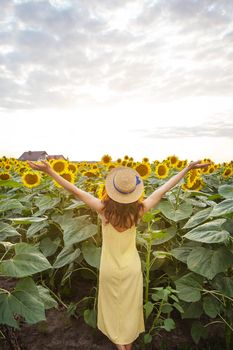 A girl in a yellow dress and a straw hat, hands up, stands with her back and holds a bouquet of sunflowers on a large field of sunflowers. A beautiful sunny day