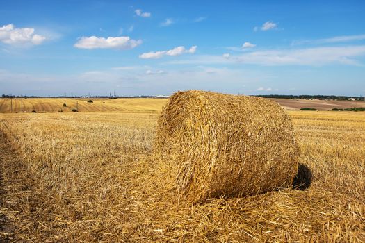 Round bales of straw on farmland with blue beautiful sky with clouds