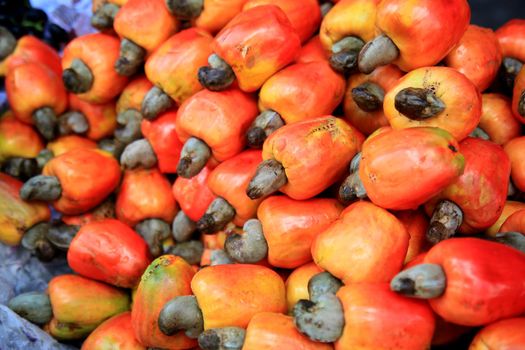 salvador, bahia, brazil - august 17, 2021: cashew fruits for sale in a fair in the city of Salvador.