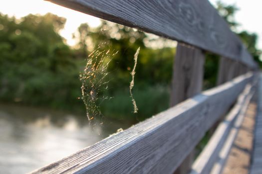 Spider web on wooden bridge between the rails. High quality photo