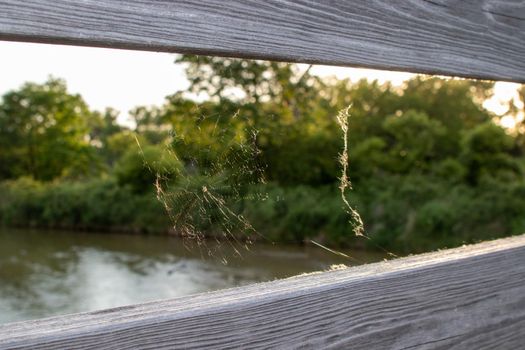 Spider web on wooden bridge between the rails. High quality photo