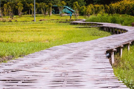 Curve Bamboo Bridge. Curved wooden bridge at park in paddy field