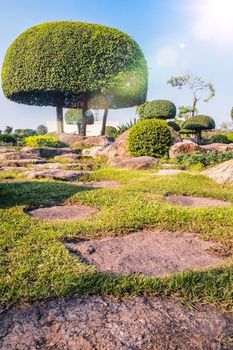 Picturesque Japanese garden.Chinese japanese garden topiary dcoration design shrub form.