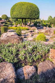 Picturesque Japanese garden.Chinese japanese garden topiary dcoration design shrub form.