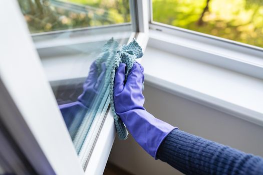 Cleaning and cleaning concept. A young girl in purple gloves wipes the dust on the windowsill and window with a rag