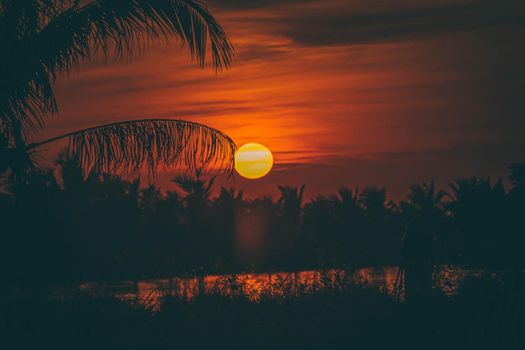 Silhouette of Palm tree at sunset landscape. Golden sun sunset reflect on the water in field meadow at evening day.