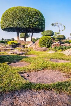 Picturesque Japanese garden.Chinese japanese garden topiary dcoration design shrub form.