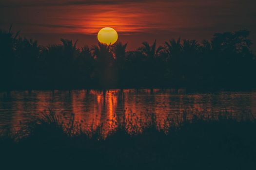 Silhouette of Palm tree at sunset landscape. Golden sun sunset reflect on the water in field meadow at evening day.