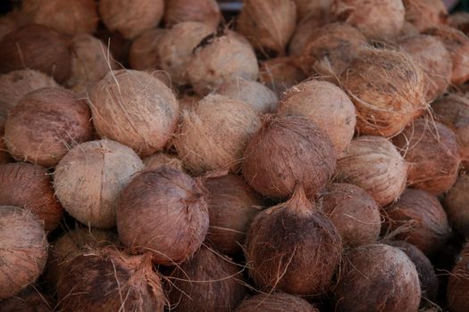 salvador, bahia, brazil - april 30, 2022: dry coconut for sale at the Sao Joaquim fair in the city of Salvador.
