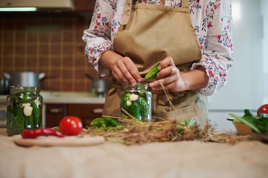 Various fresh vegetables on bowls, prepared for home pickling. Women's hands put cucumbers in a can for canning. Marinating. Preservation of fresh and organic vegetable. Traditional family recipe