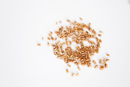 Flat lay microgreen seeds on white background.