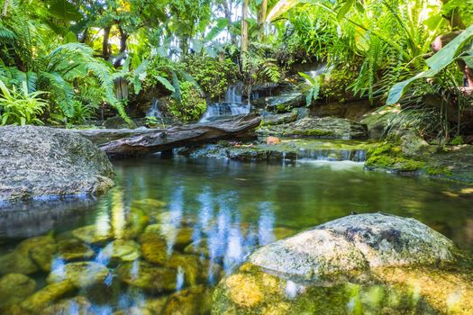 waterfall in tropical garden during spring season.  beautiful landscaping with beautiful plants