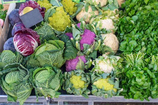 Purple, Cauliflower, Red Cabbage and cress at the Market