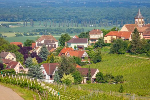 Riquewihr beautiful alsatian architecture at springtime with vineyards, Eastern France