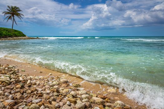 Tropical paradise: idyllic caribbean beach with single palm tree, Montego Bay, Jamaica