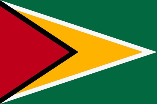 A Guyana flag background flag illustration red yellow green star black