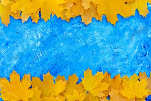 Autumn leaves frame on up down side blue structured background top view Fall Border yellow and Orange Leaves vintage background table Copy space. Mock up for your design. Display for product or text