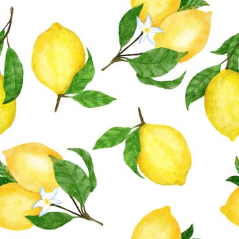 Watercolor hand drawn seamless pattern with lemon citrus fruit. Summer bright organic sweet tasty food botanic print. Harvest tree ornament textile