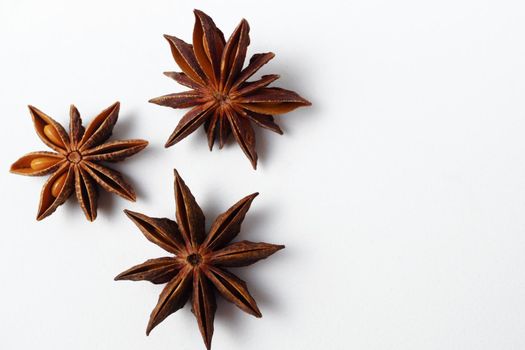 close-up of three seeds star anise illicium verum isolated on white background and copy space