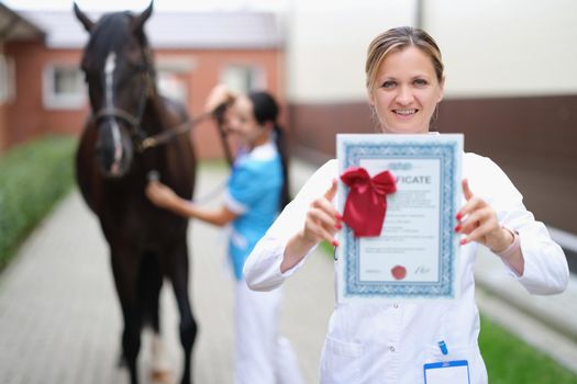 Veterinarian conducts medical examination of sports horse closeup. Veterinary documents and equestrian medical certificate concept