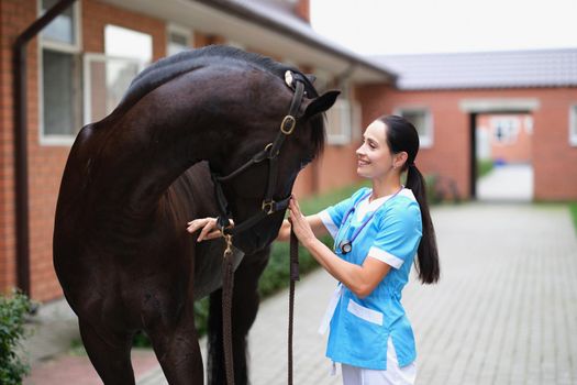 Smiling vet scanned young horse perfectly. Medical examination of horses