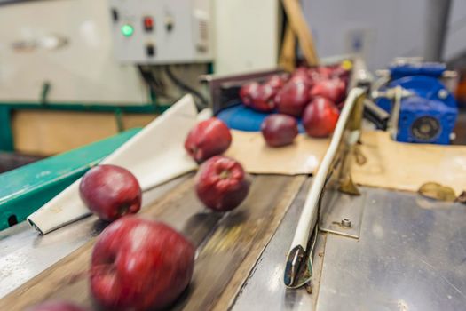 automatic movement of apples in the factory