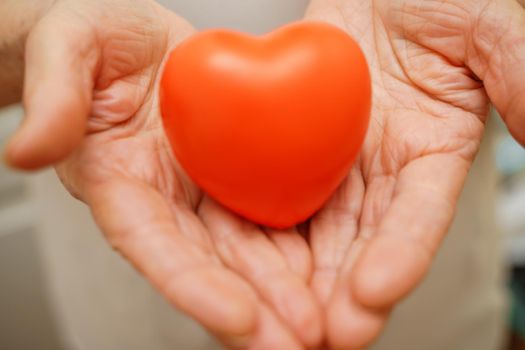 Hands holding red heart, healthcare, love, organ donation, mindfulness, wellbeing, family insurance and CSR concept, world heart day, world health day, national organ donor day.