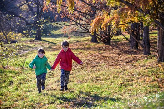 Two boys are running in the autumn forest. Two sibling brother boys are best friends spend time together on nature. Rest outdoors and friendship concept.
