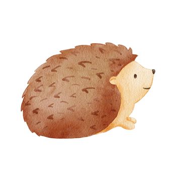 Watercolor cute hedgehog. Hand drawn character forest animal isolated on white background. Woodland illustration