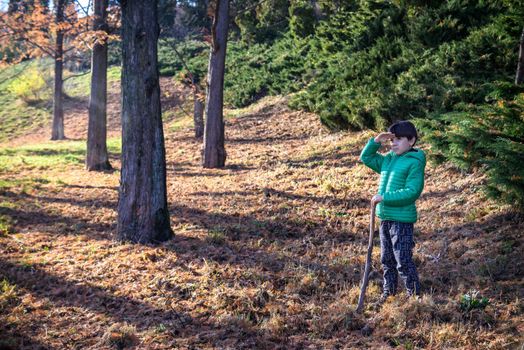 The boy was lost in the forest looking for a way home, the child was left alone in an unfamiliar place, summer holidays in nature, holding a stick in his hand, walking on the grass.