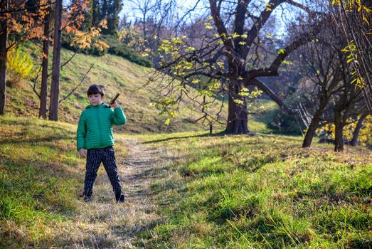 The boy was lost in the forest looking for a way home, the child was left alone in an unfamiliar place, summer holidays in nature, holding a stick in his hand, walking on the grass.