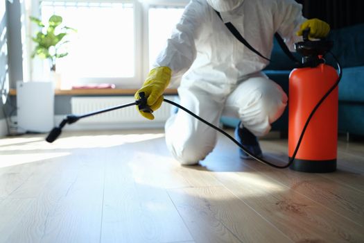 isinfection of premises from insects and rodents with chemicals. Plumber spray on the background of apartment and pest control